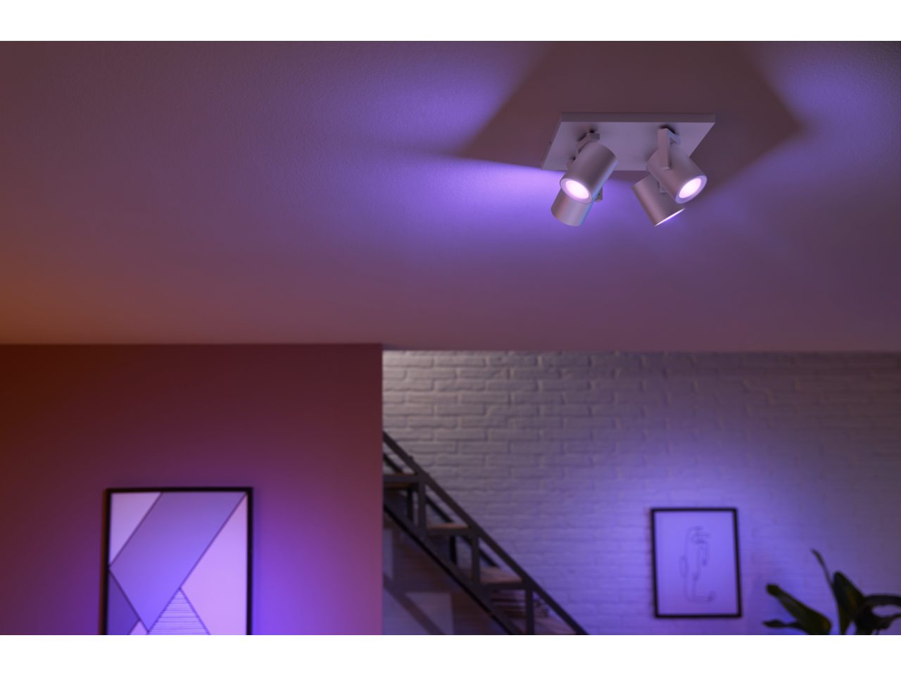 5062448P7-8718696171646-